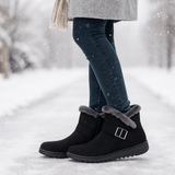 Klaire Winter Ankle Boots - Suede